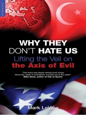 cover image of Why They Don't Hate Us
